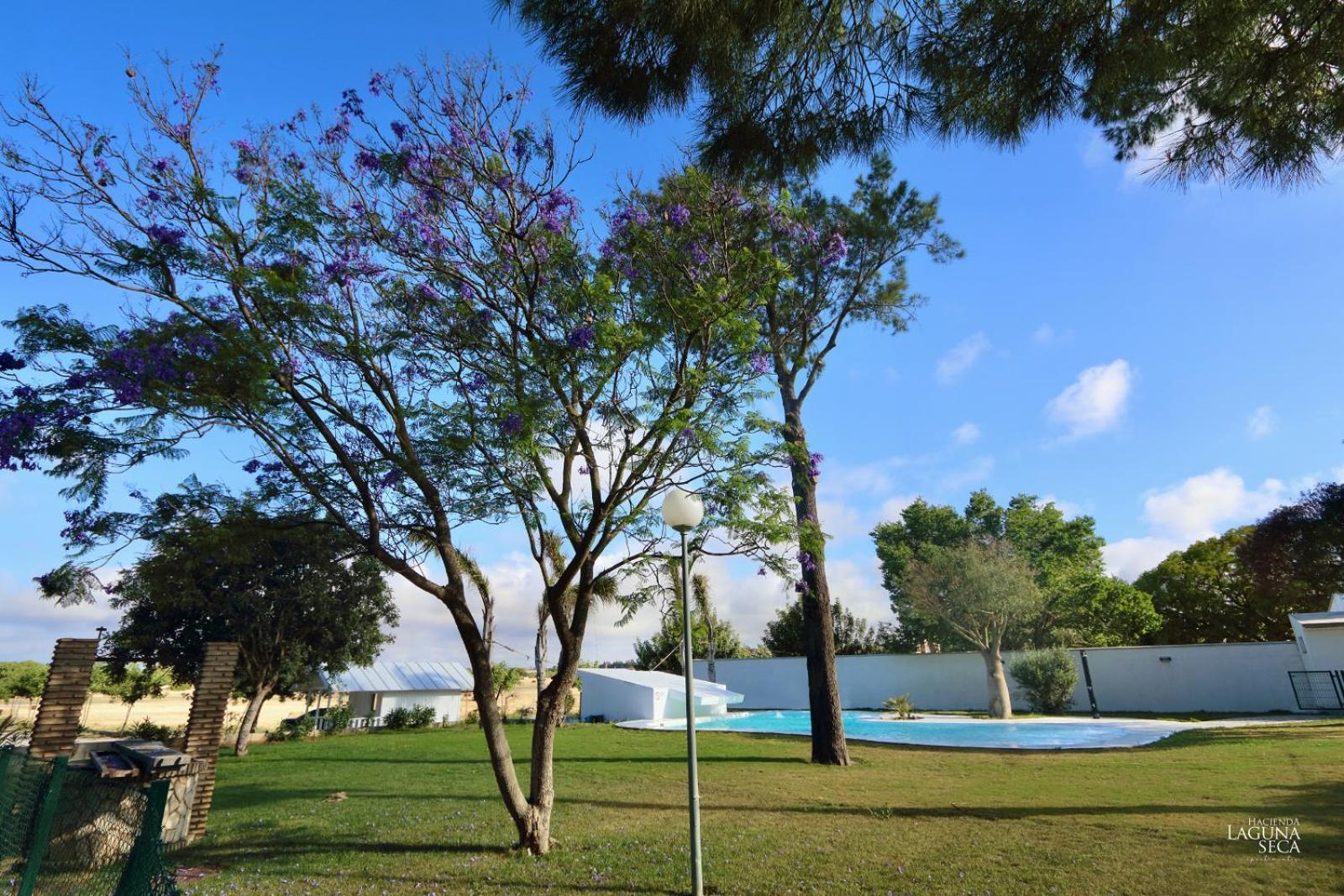 Hacienda Laguna Seca - Apart. Lavanda Chiclana de la Frontera Exterior photo